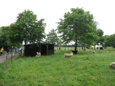 2015-05-31 Radtour Frühstück im Wald_25